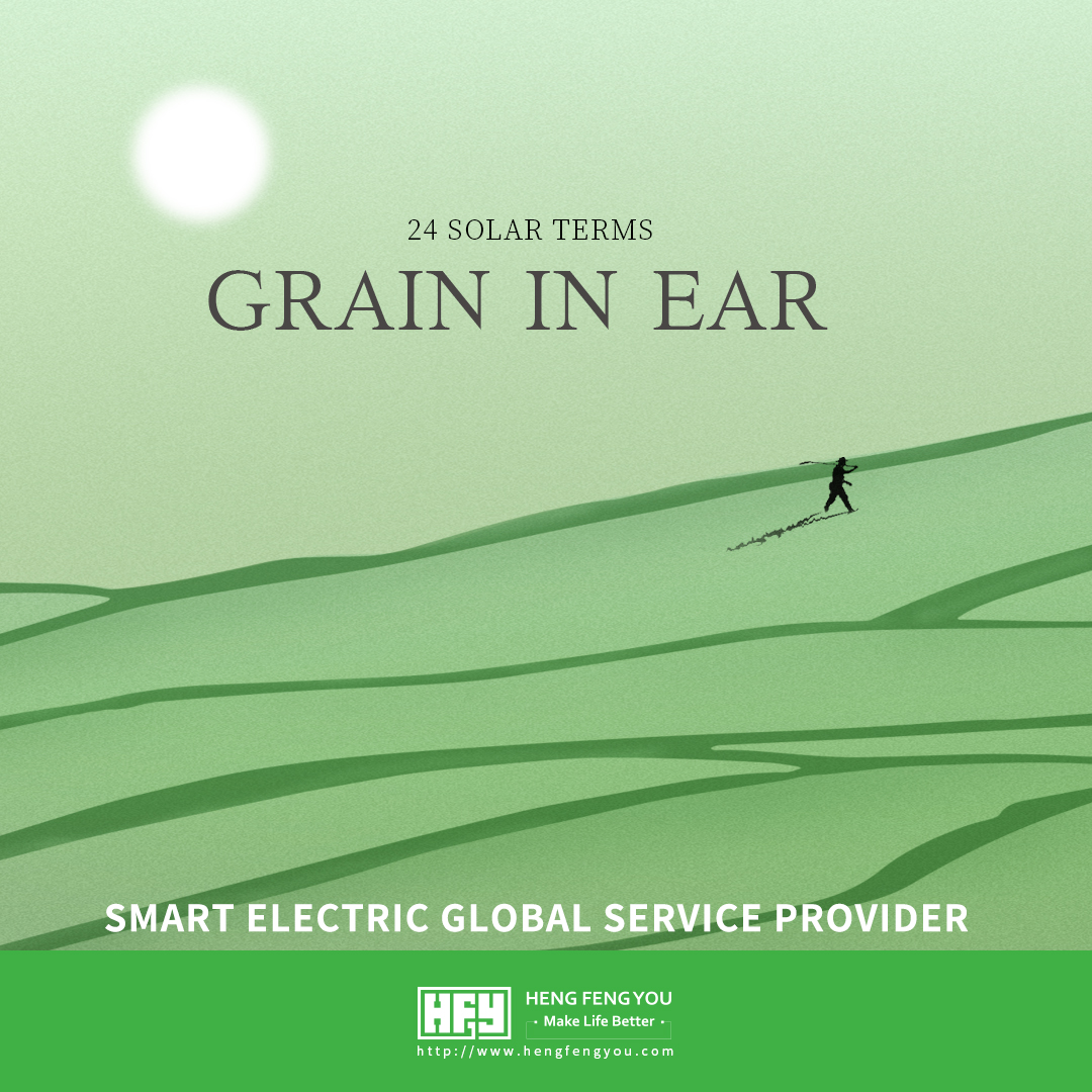 Grain in ear 2022