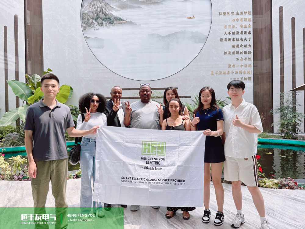 Hengfengyou Electric helps Serbia's slaughter indus