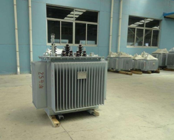  Water ingress and moisture of oil immersed transformer
