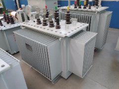 Application characteristics of oil immersed transformer