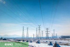 2022 Uzbekistan actively promotes the liberalization reform in the power sector