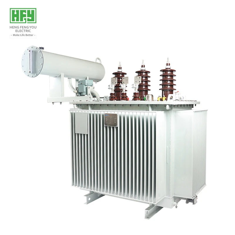 6.6KV Fully Sealed Three-phase Oil-immersed Power Plant Distribution Transformer (S11-M Series)