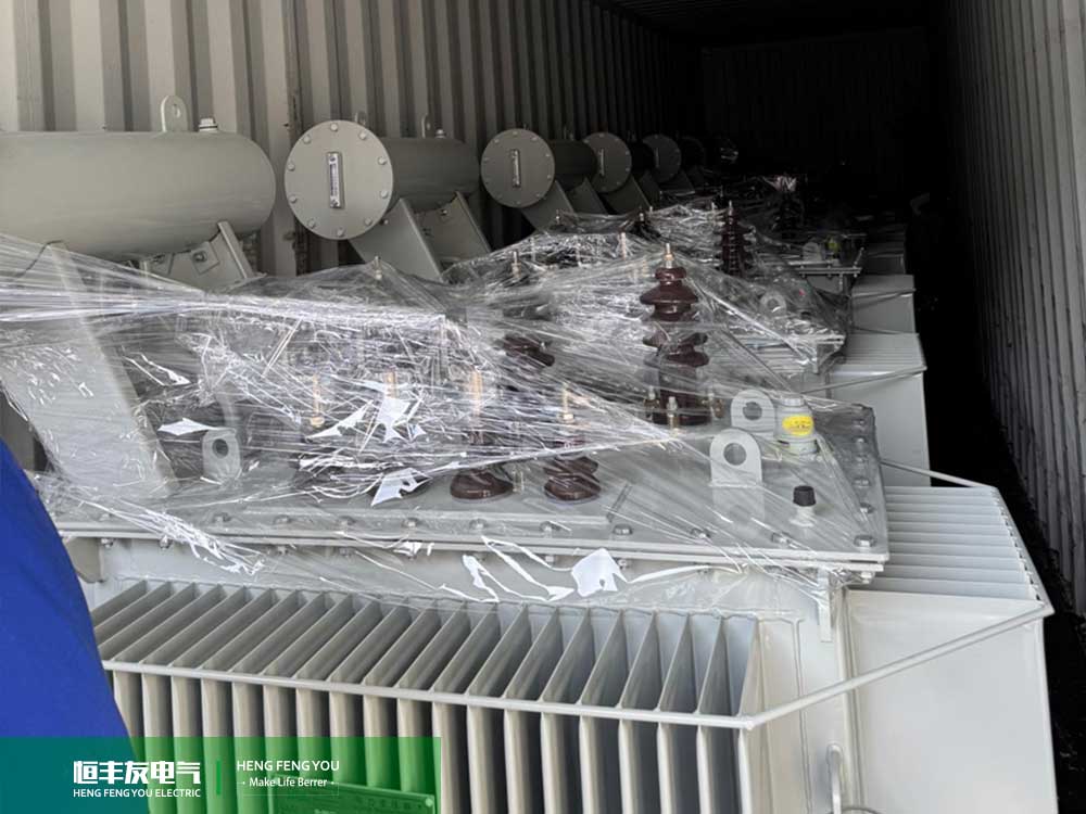 22kV Transformer, Oil-immersed Distribution Transformer, Customized Power Equipment, South Africa Power Project